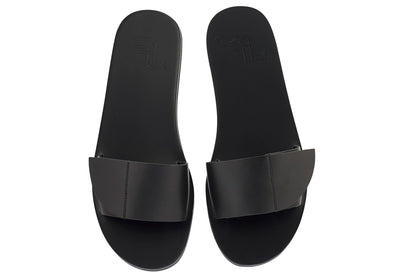 Darcy M Black Darcy M Black