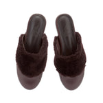 Thyone slipper Brown top view