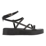 Stiliani Black