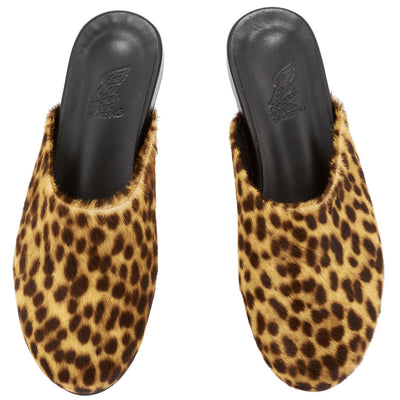 The Slipper The Slipper