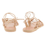 Aristide Golden Hour