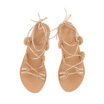 Aristide Golden Hour