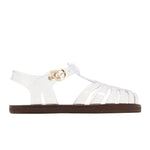 Homeria Jelly Clear