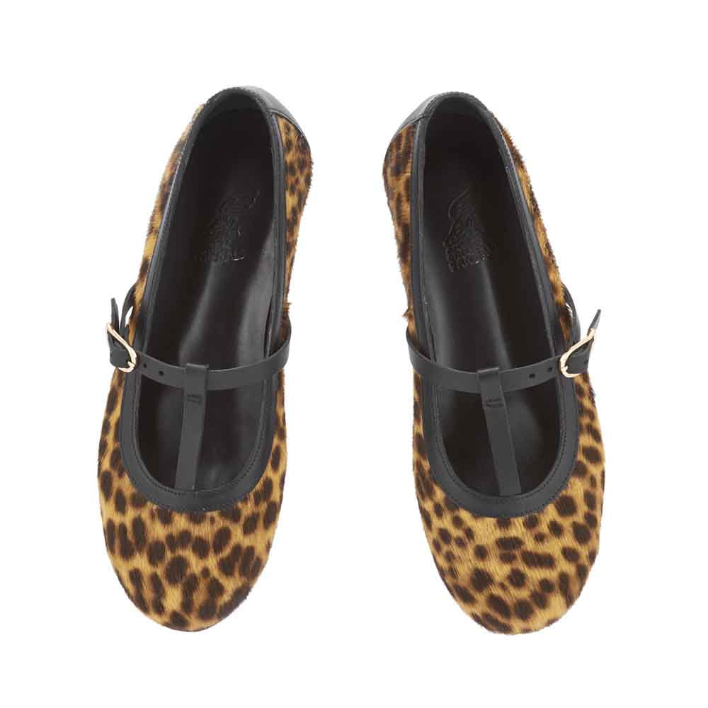 Aerati Ballet Flat Lynx