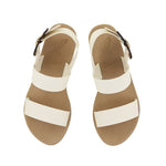 Clio Rainbow Off White/Tortoiseshell