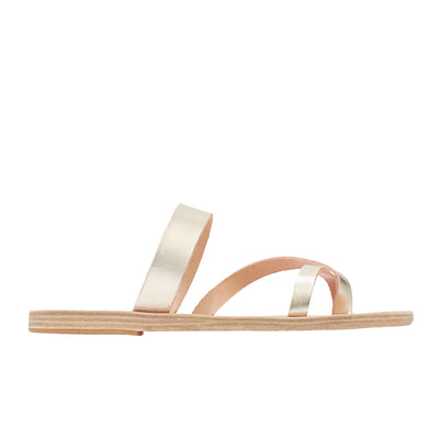 Daphnae Platinum Daphnae Platinum