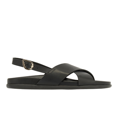 Ikesia Black Ikesia Black
