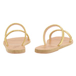 Echidna Metallic Gold