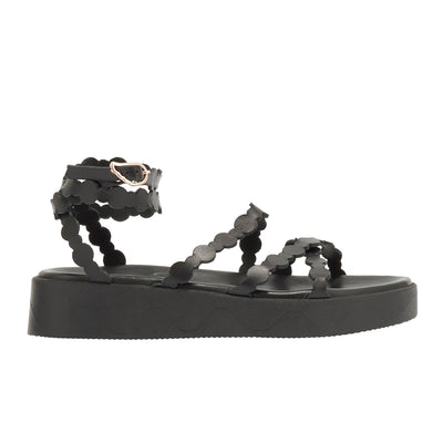 Aspis Black Aspis Black