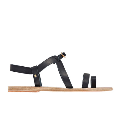 Phoebe Marine Phoebe Marine