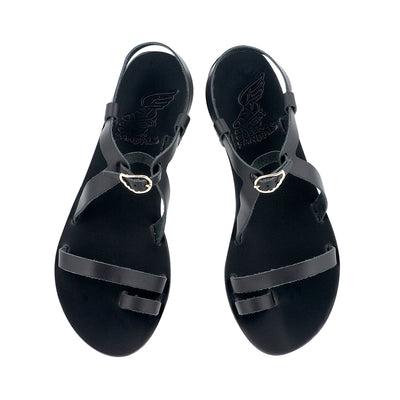 Phoebe Black Phoebe Black