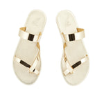 Daphnae Gold