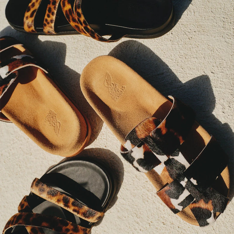 Animal Print