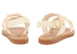 Little Clio Shells Soft
