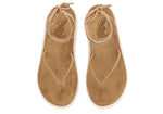 Pieria Comfort