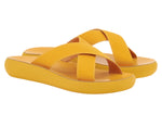 Thais Comfort