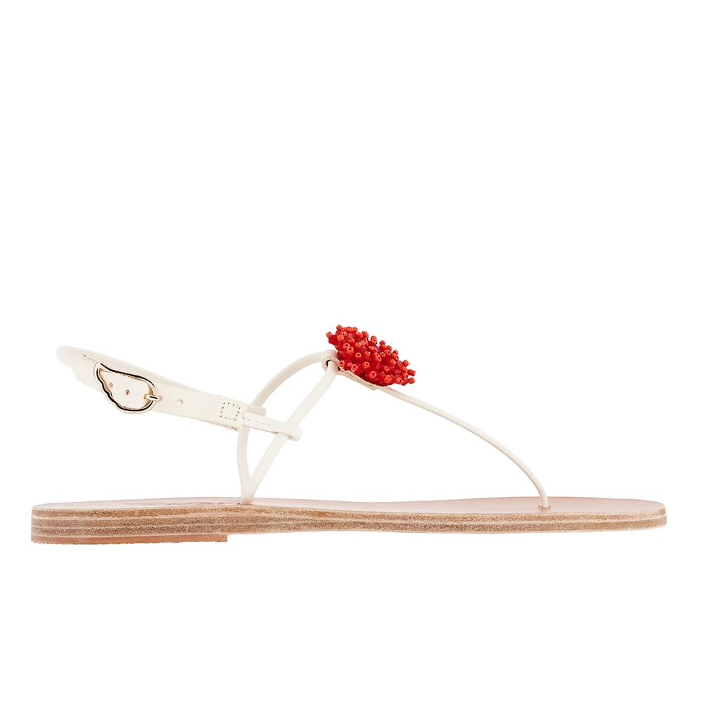 Dimitra Coral White