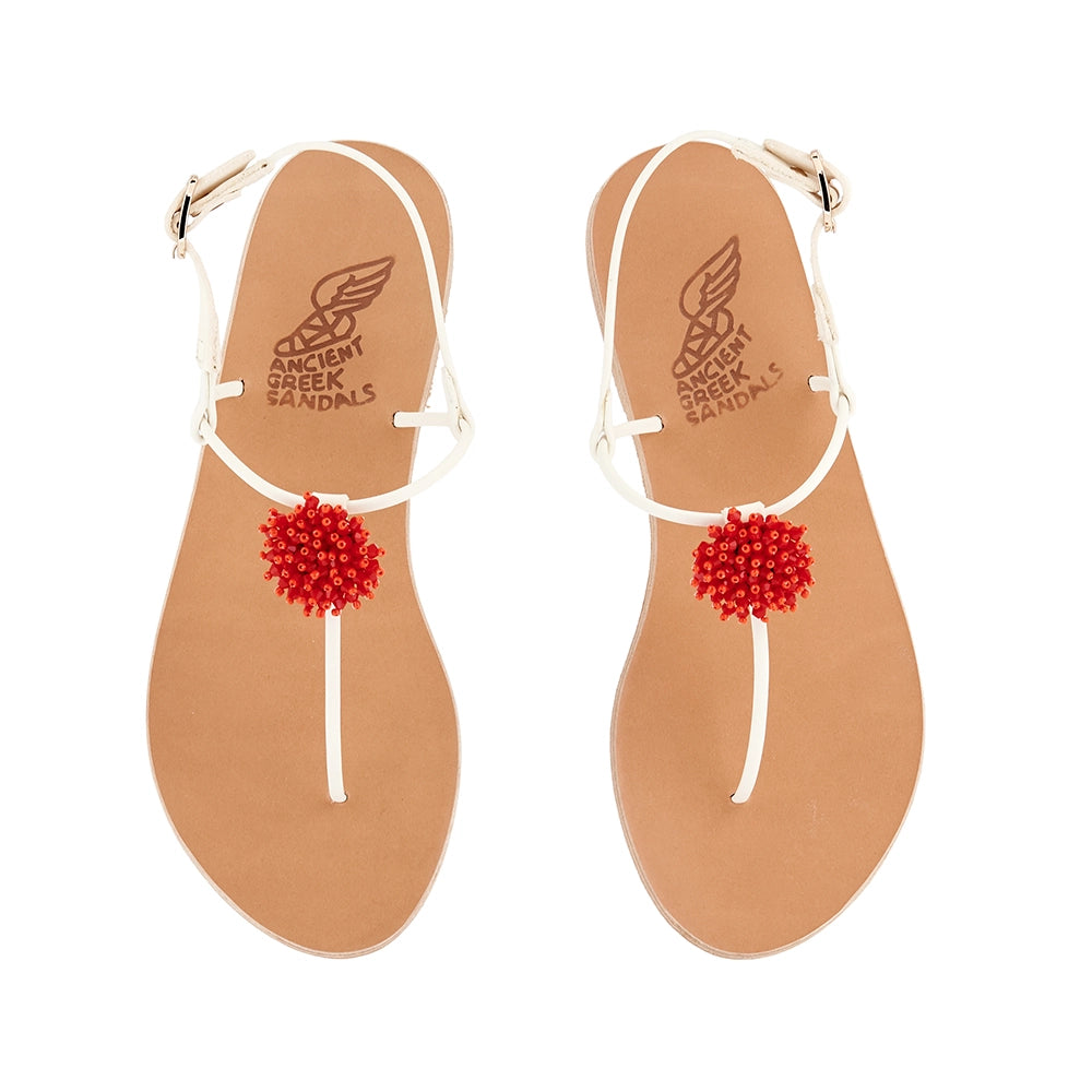 Dimitra Coral White