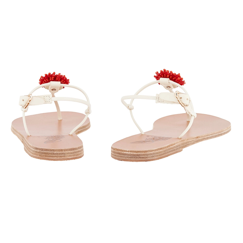 Dimitra Coral White