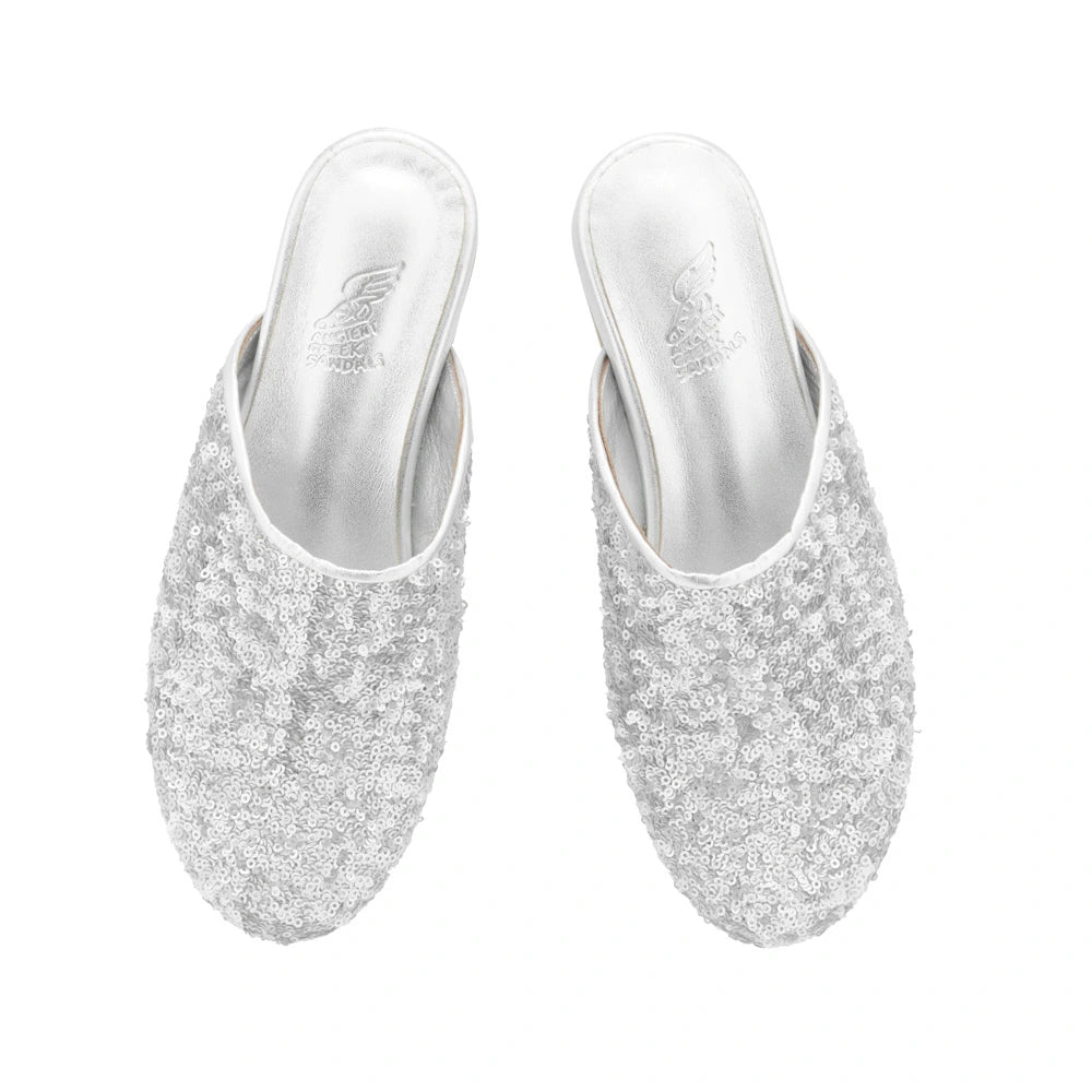 The Slipper Sequins Silver top view