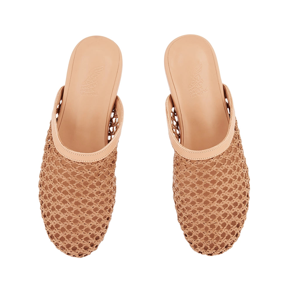 The Slipper Brown