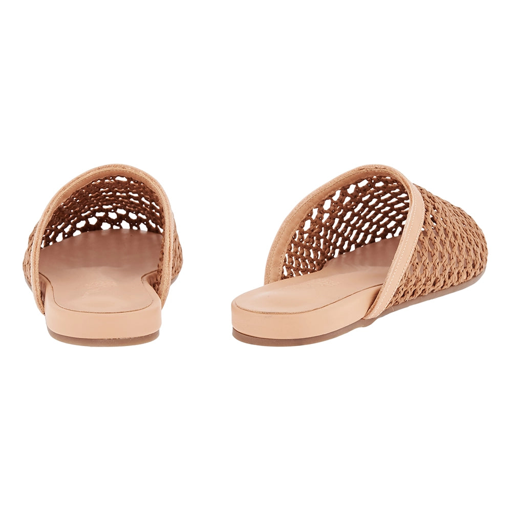 The Slipper Brown