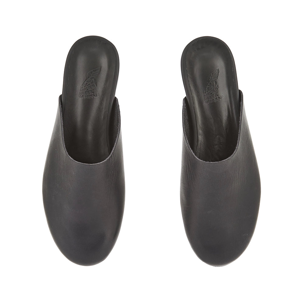 The Slipper Black