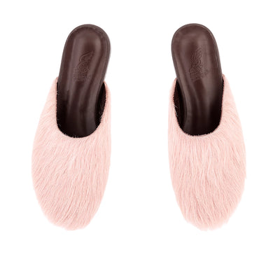 The Slipper Pink