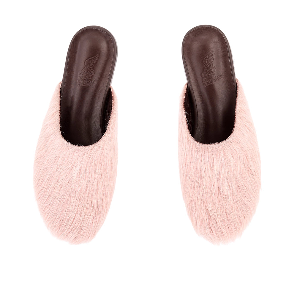 The Slipper Pink