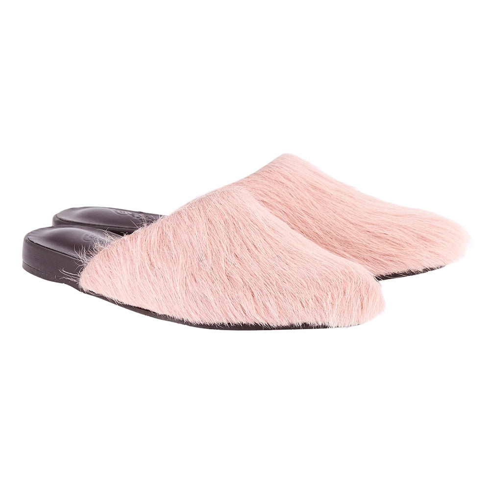 The Slipper Pink