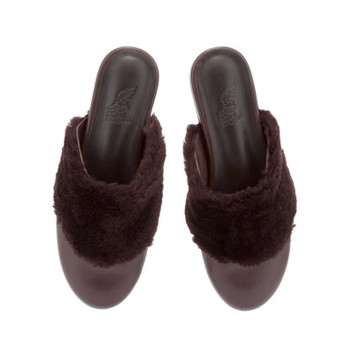 Thyone  slipper Brown top view