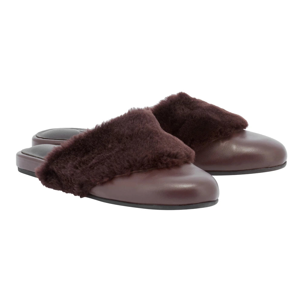 Thyone  slipper Brown 3-4 view