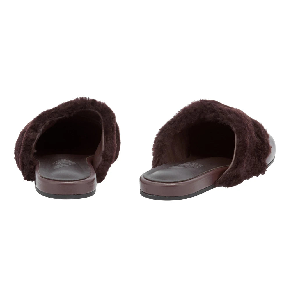 Thyone  slipper Brown back view