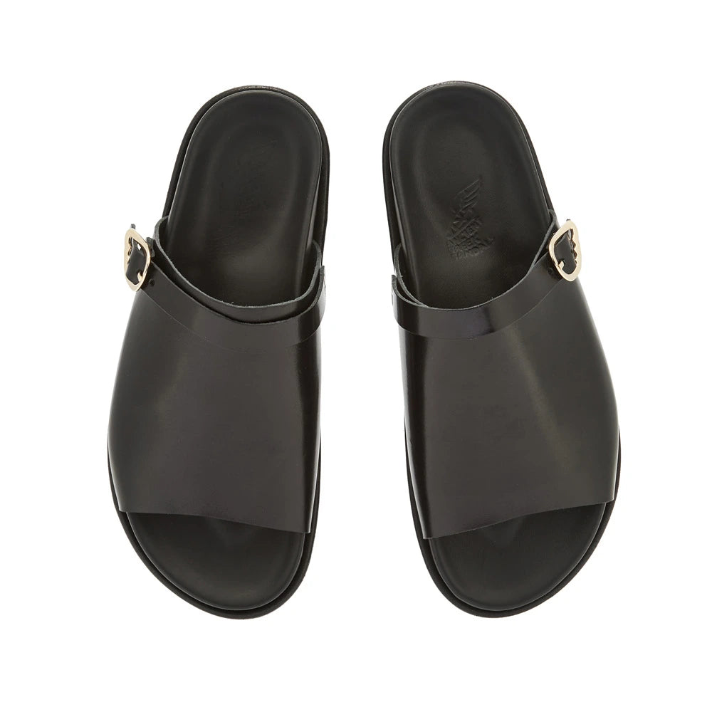 Arachova Black top view