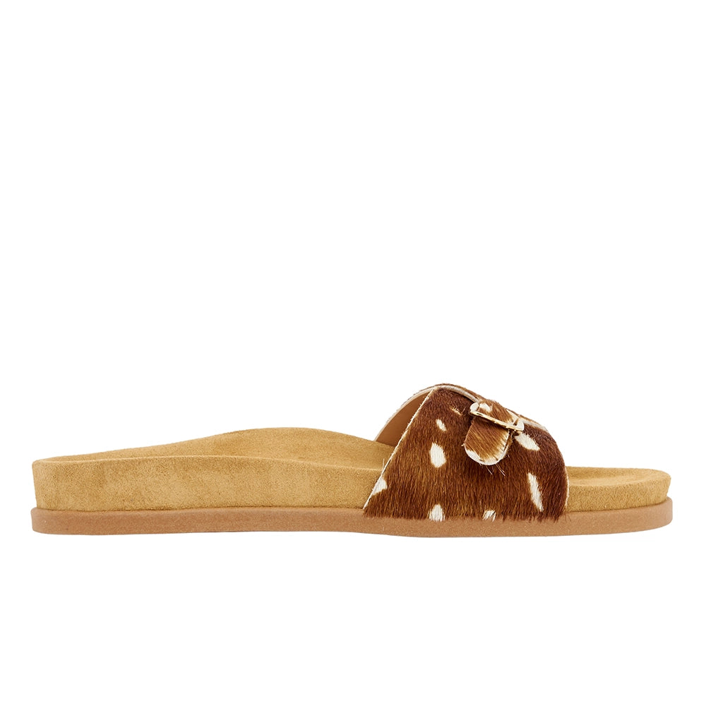 Stoa Bambi