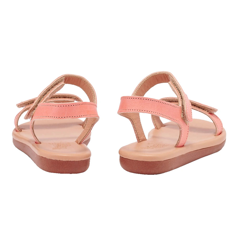 Little Poros Soft Coral back