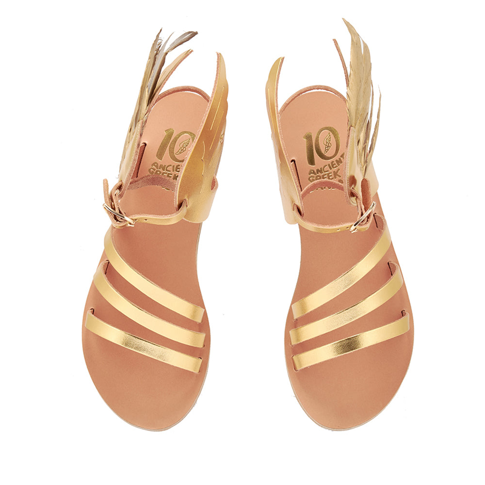 ANCIENT GREEK SANDAL ゴールド貝殻装飾 ANCIENT GREEK SANDAL ゴールド貝殻装飾