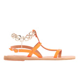 Desmotis Fluo Orance