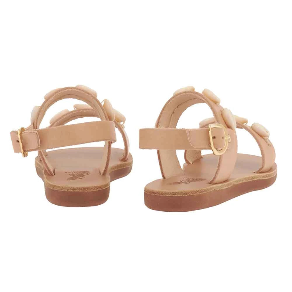 Little Clio Shells Soft Natural 4