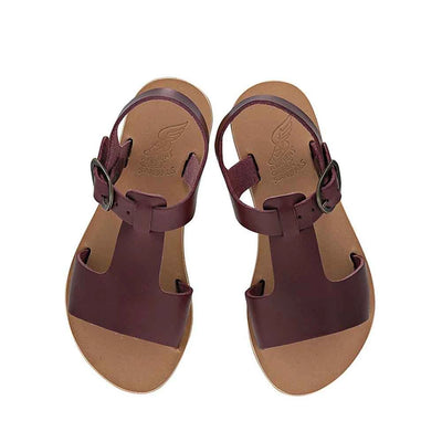 Little Adonis Burgundy 2