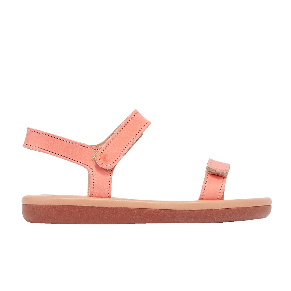 Little Poros Soft Coral side