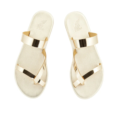 Daphnae Gold