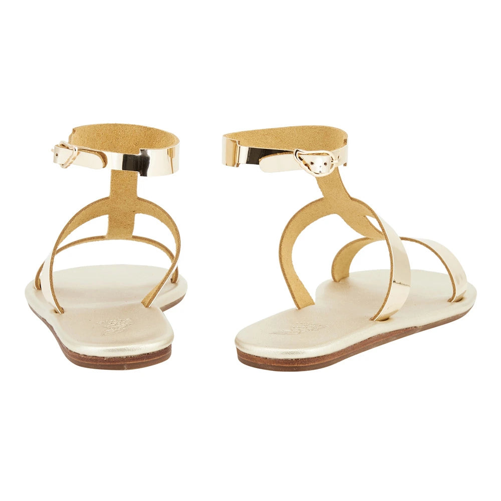 Fedra Gold