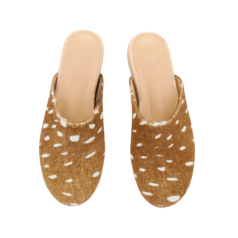 The Slipper Bambi
